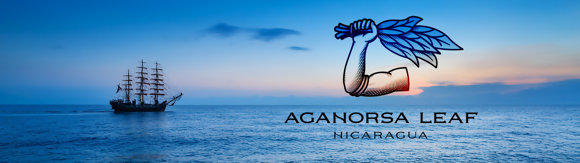 New Cuba by Aganorsa