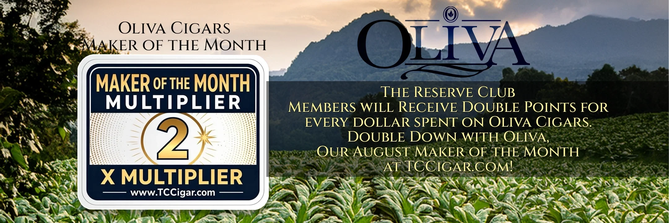 Oliva Cigars - August Maker of the Month