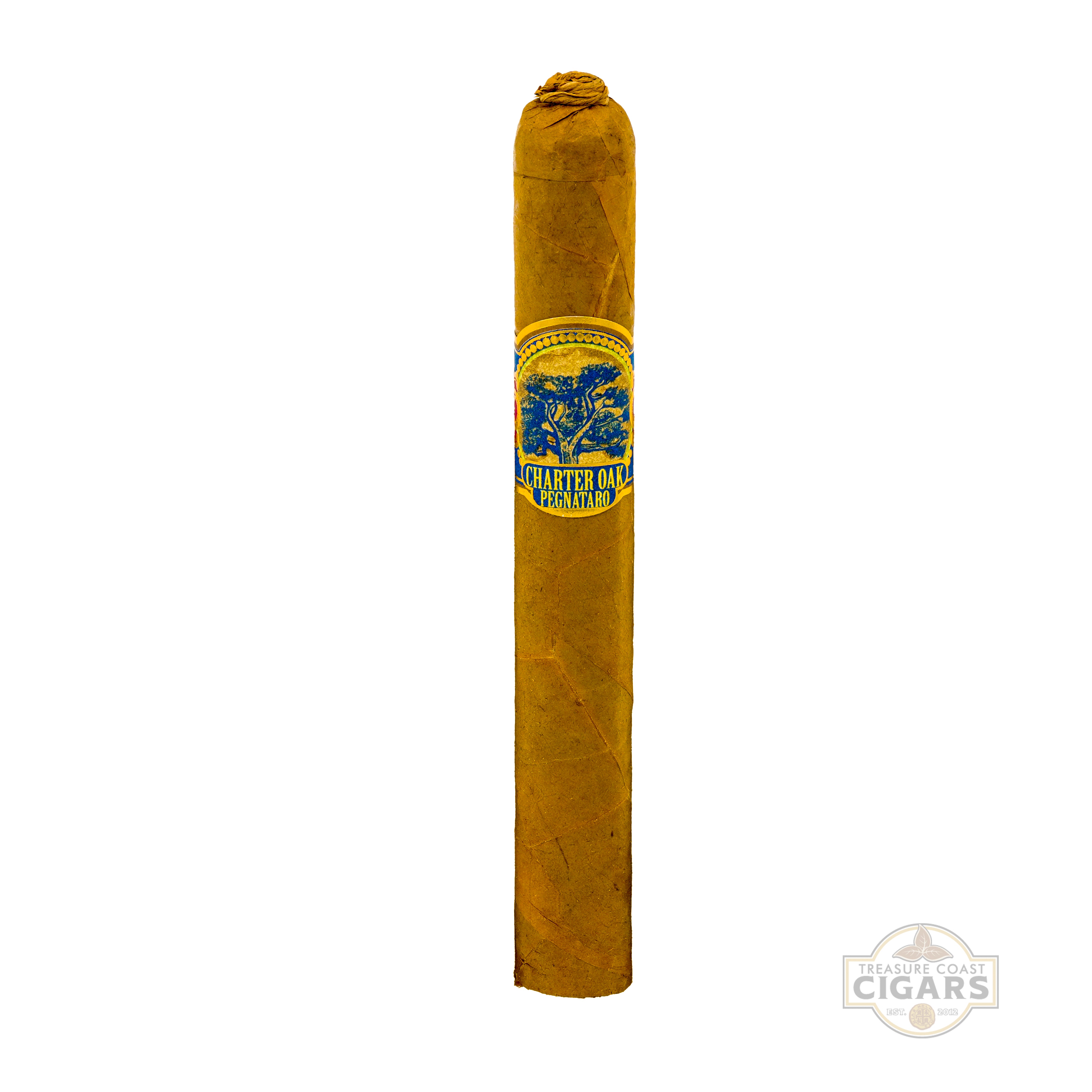 Charter Oak Pegnataro Connecticut Shade