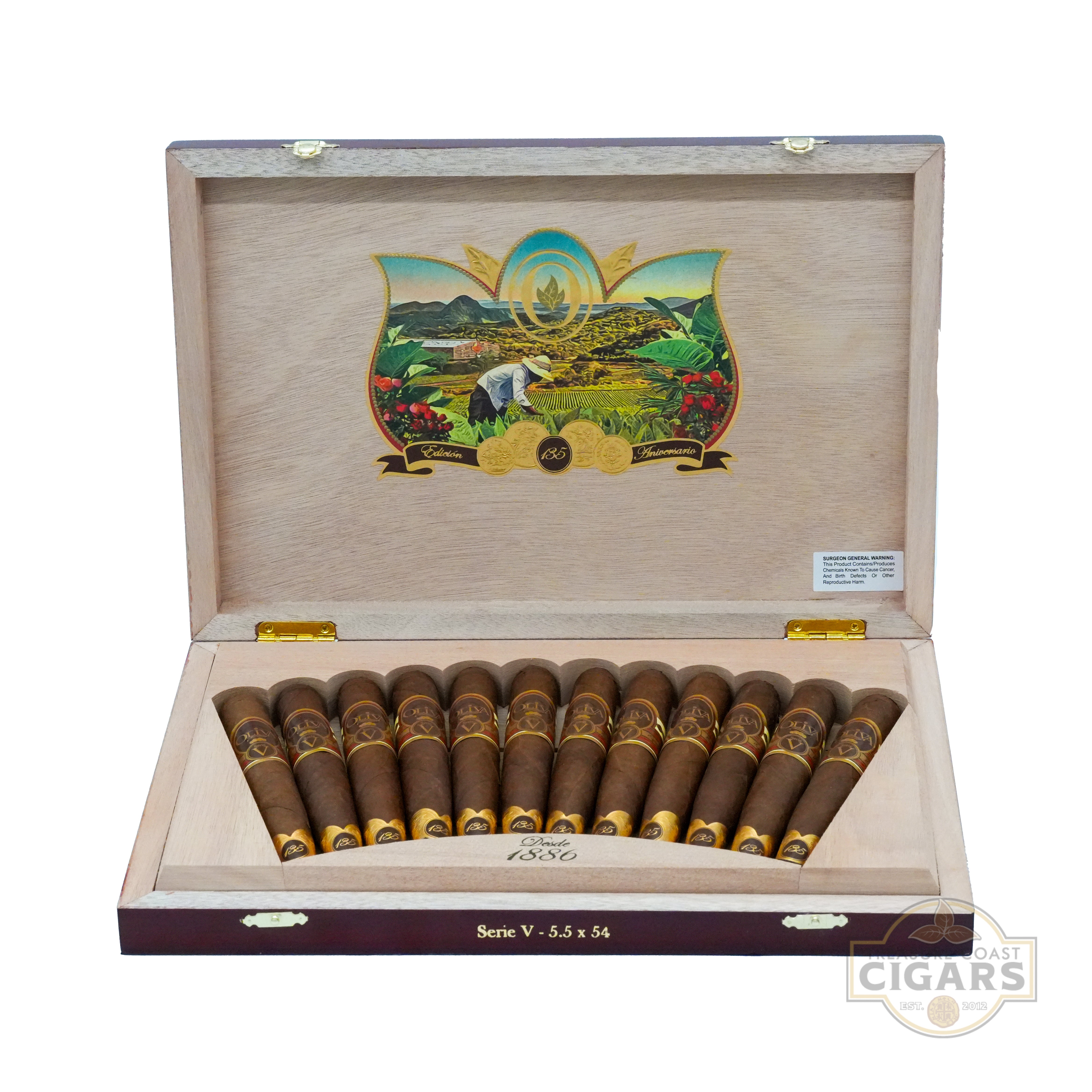 Open wooden cigar box with Oliva 135 cigars inside on a white background
