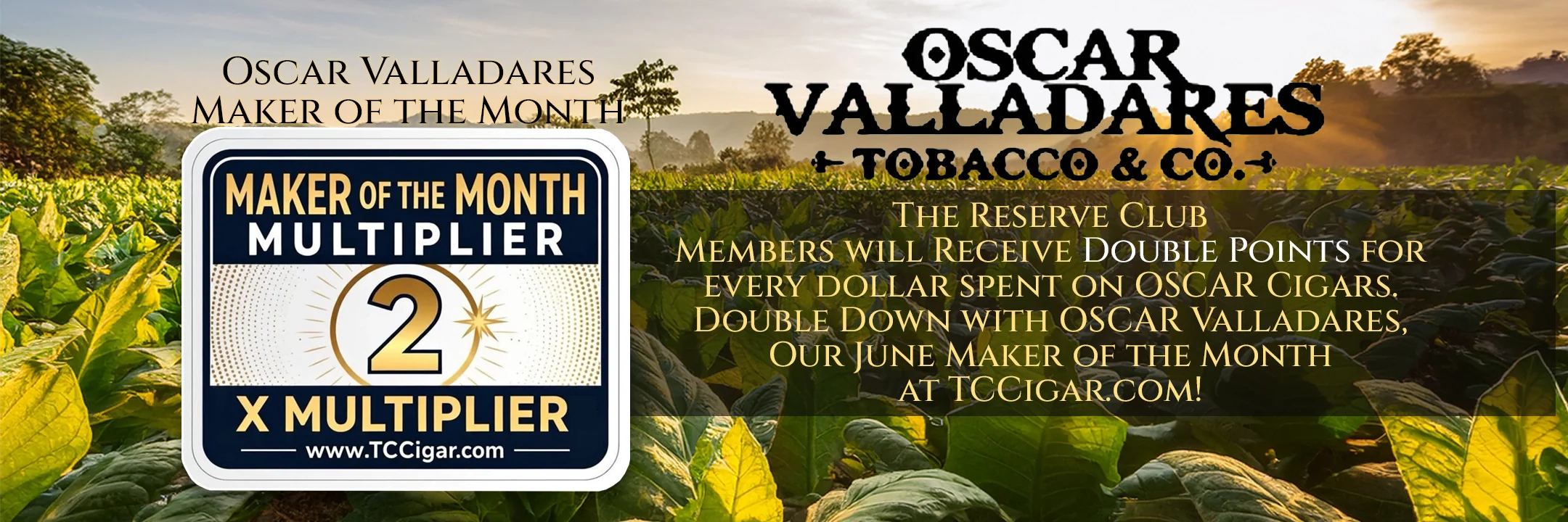 Tobacco field with graphics for TCCigar.com Maker of the Month - Oscar Valladares Tobacco