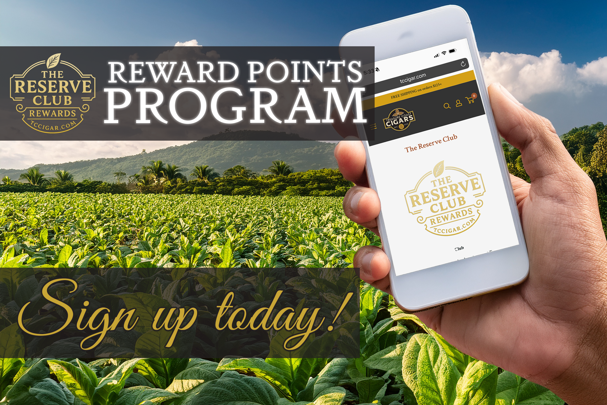 Hand holding a smartphone displaying TCCigar.com's loyalty app with a tobacco field in the background